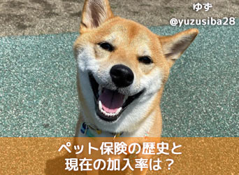 ペット保険の起源と歴史に迫る！日本の歴史と現在の加入率は？のサムネイル画像